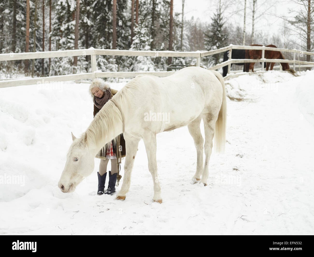 Attraktive blonde Frau und ein weißes Pferd bedeckt zusammen, Wintertag Stockfoto