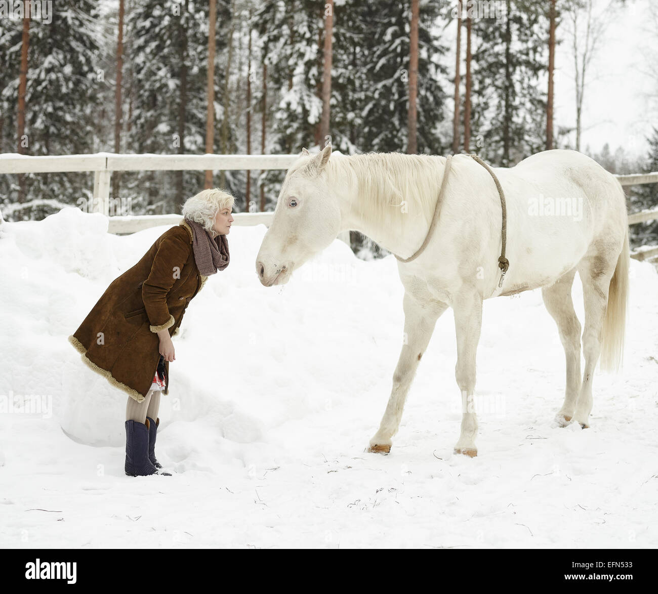 Attraktive blonde Frau und ein weißes Pferd bedeckt zusammen, Wintertag Stockfoto