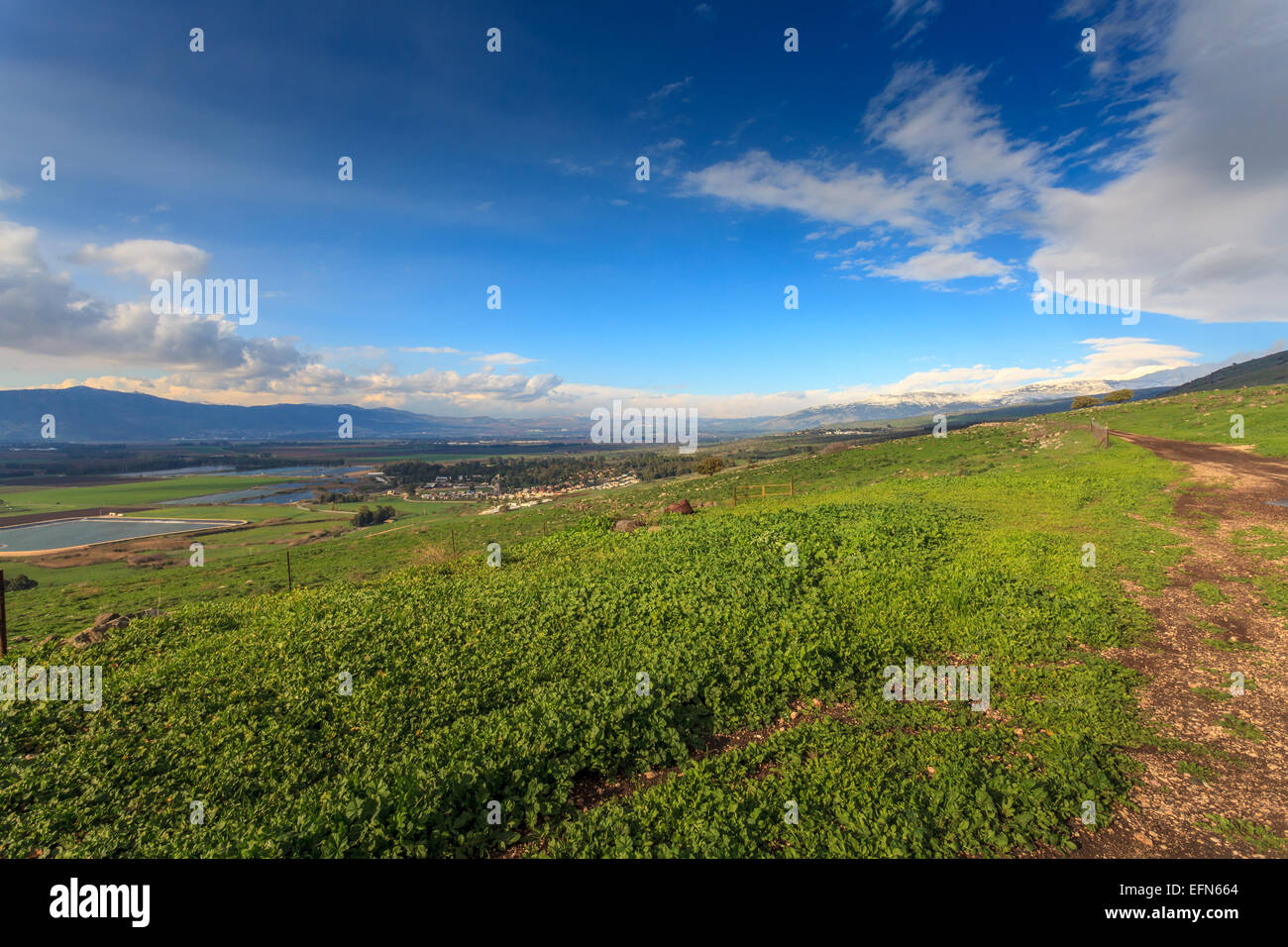 Israel, Golan-Höhen-Landschaft. Fotografiert im Nahal Orvim (Orvim Bach) Nature reserve Stockfoto
