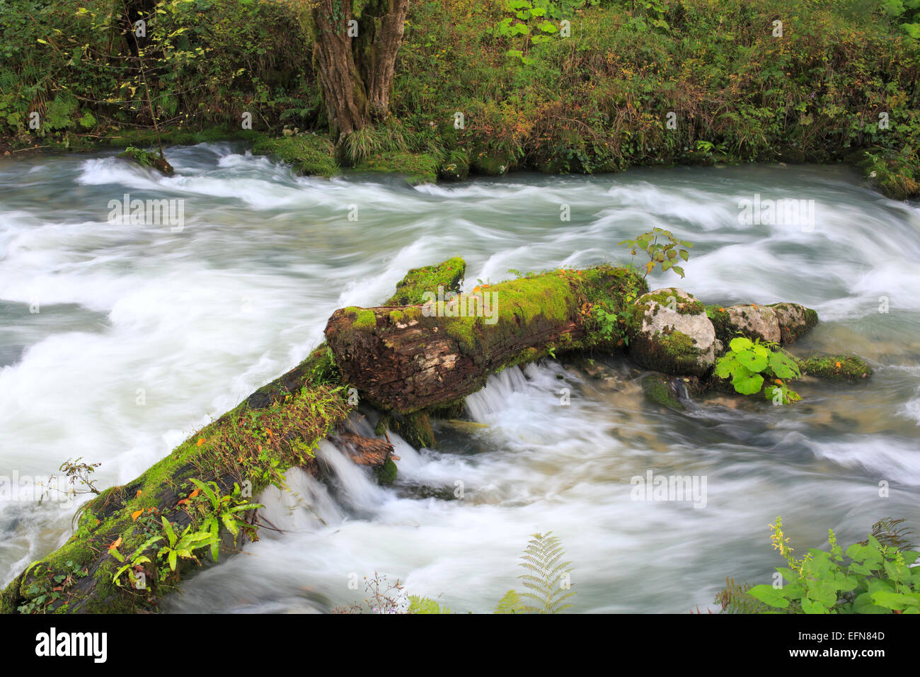 Psyrtskha Fluss, neue Athos, Abchasien (Georgien) Stockfoto