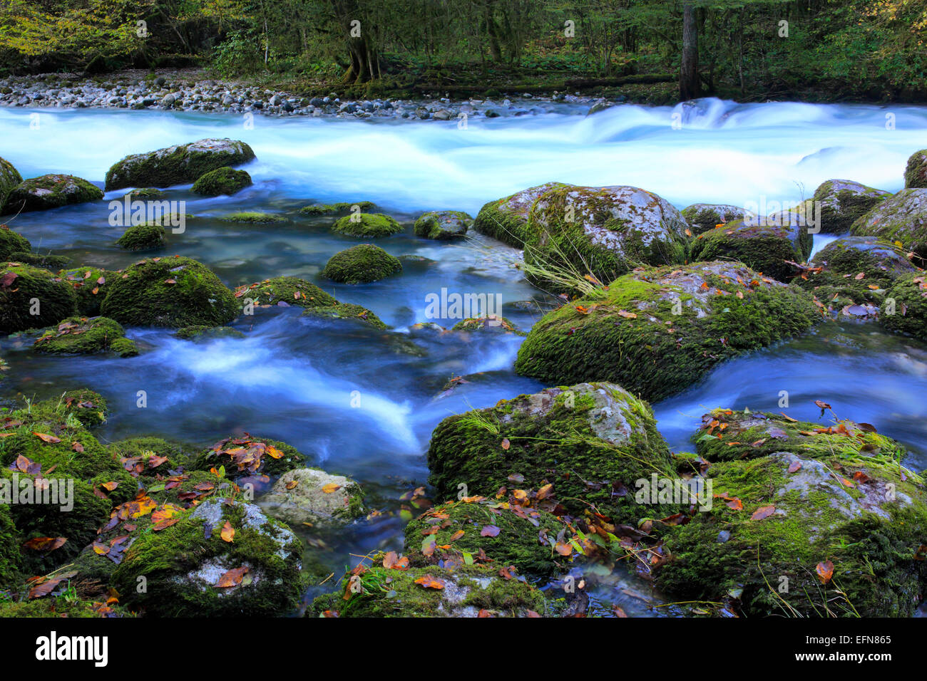 Fluss im Kaukasus, Abchasien (Georgien) Stockfoto