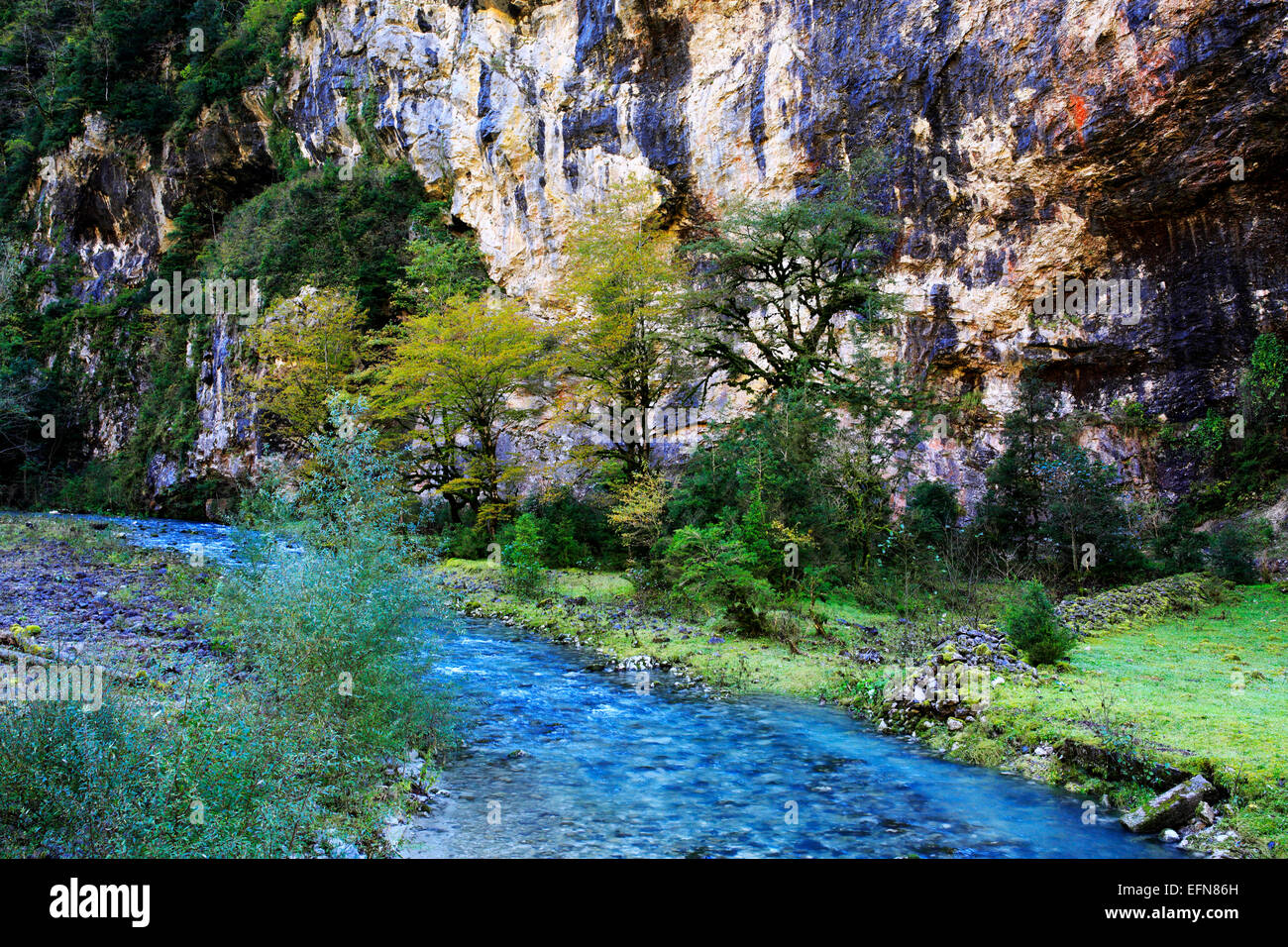 Fluss im Kaukasus, Abchasien (Georgien) Stockfoto