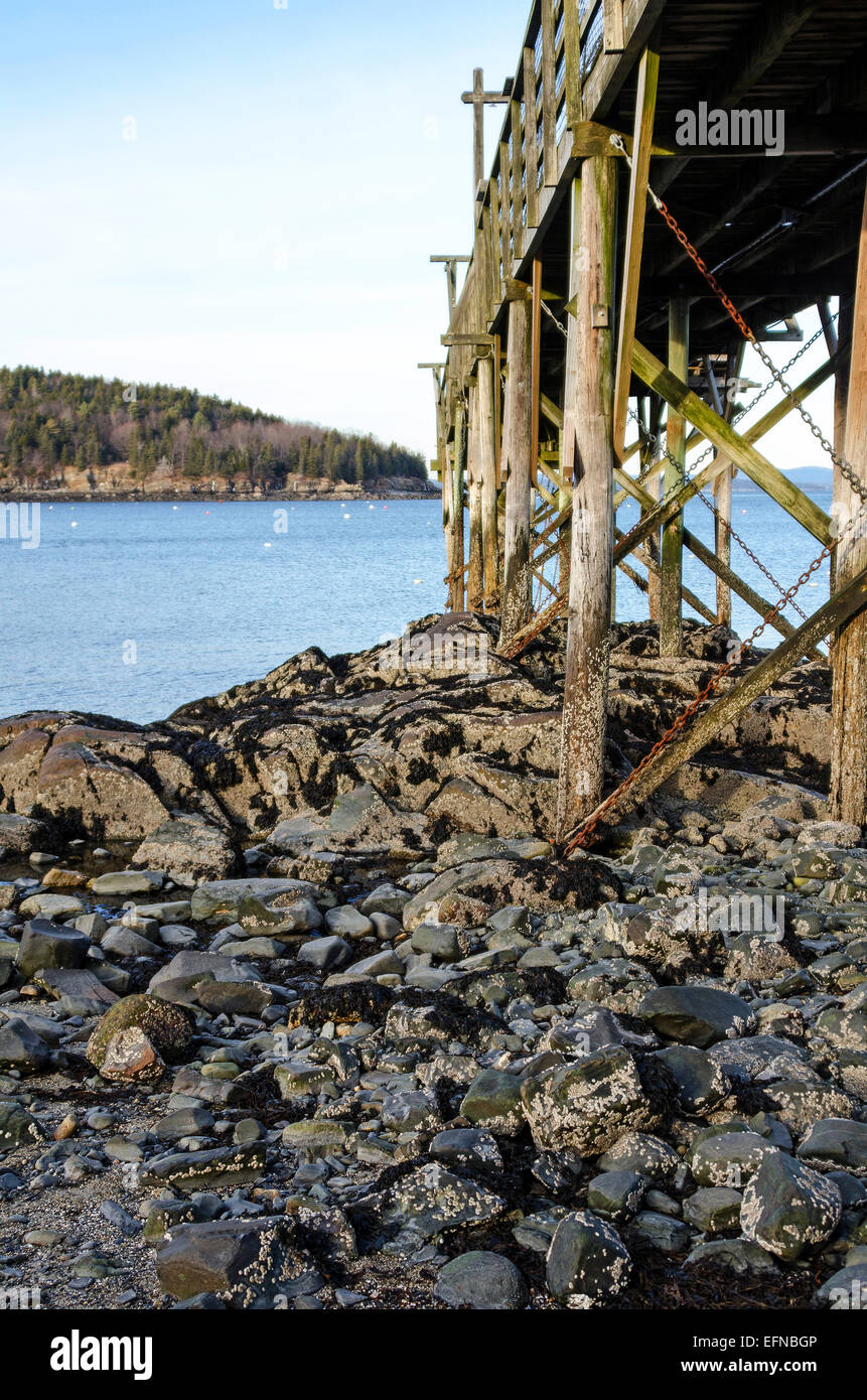 An der Bar Harbor Inn Pier bei Ebbe, Bar Harbor, Maine nachschlagen. Stockfoto