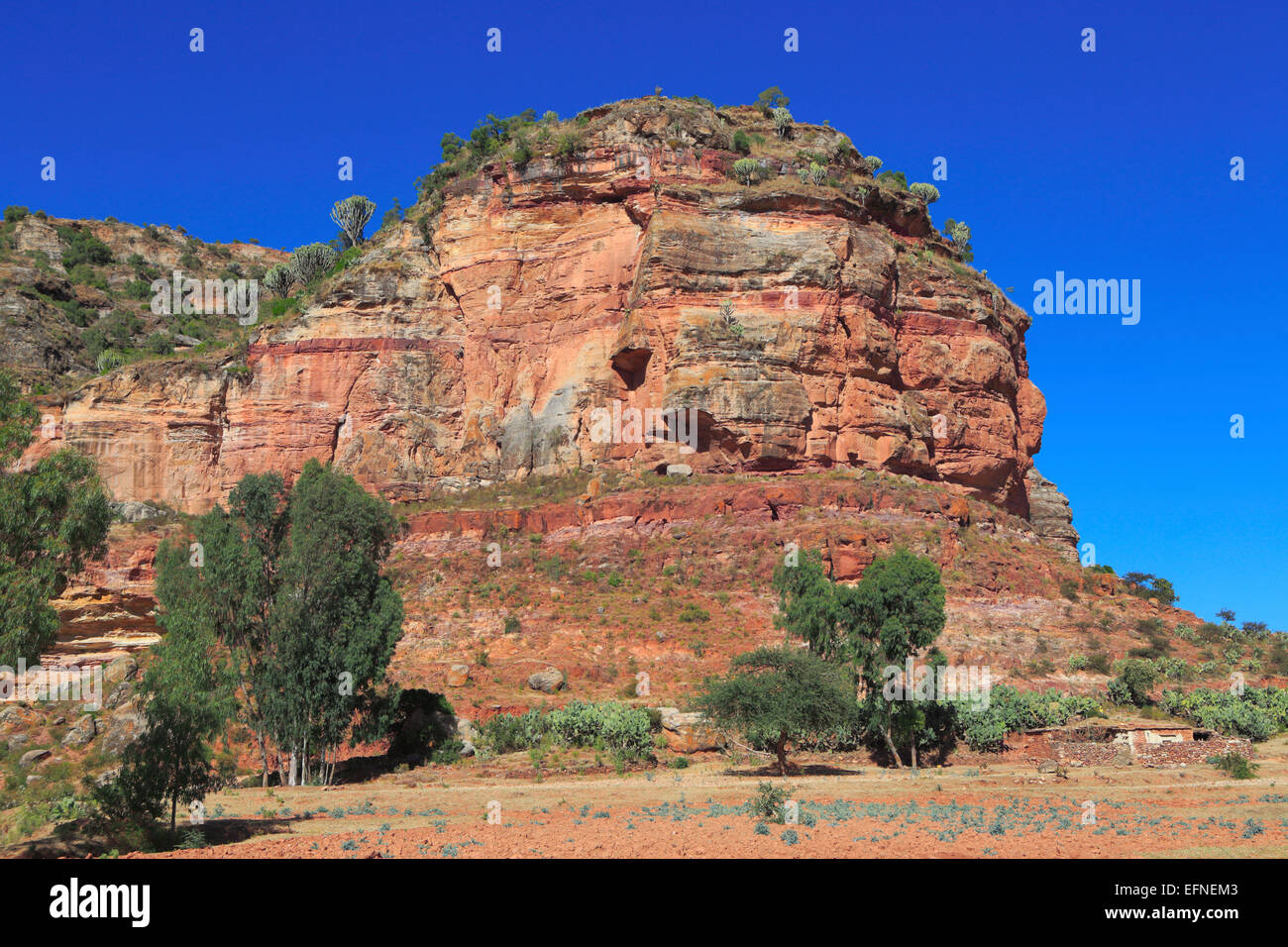 Geraltä Berge, Degum-Dorf, Region Tigray, Äthiopien Stockfoto