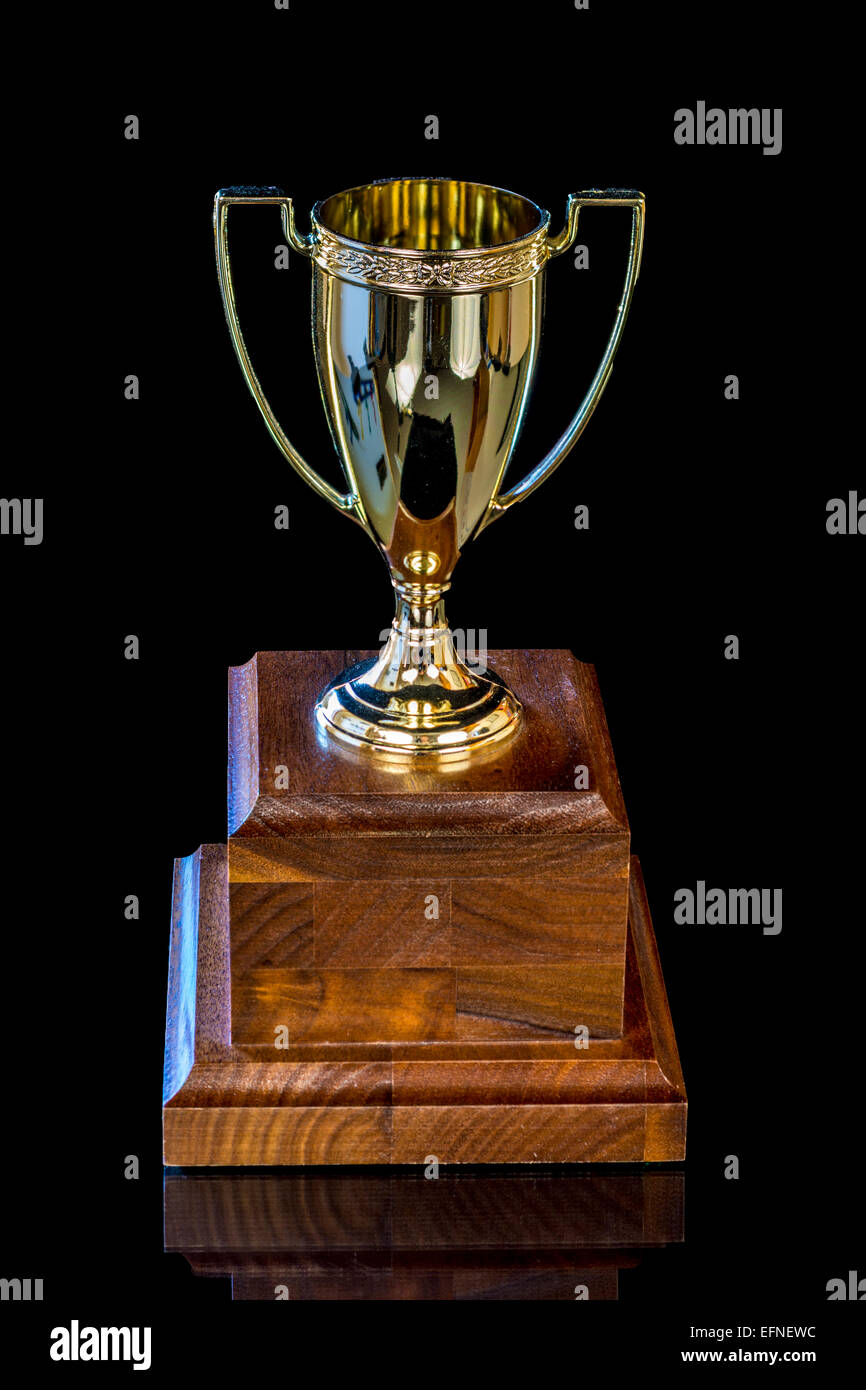 Einzelne Trophy Cup auf einen Holzblock Stockfoto