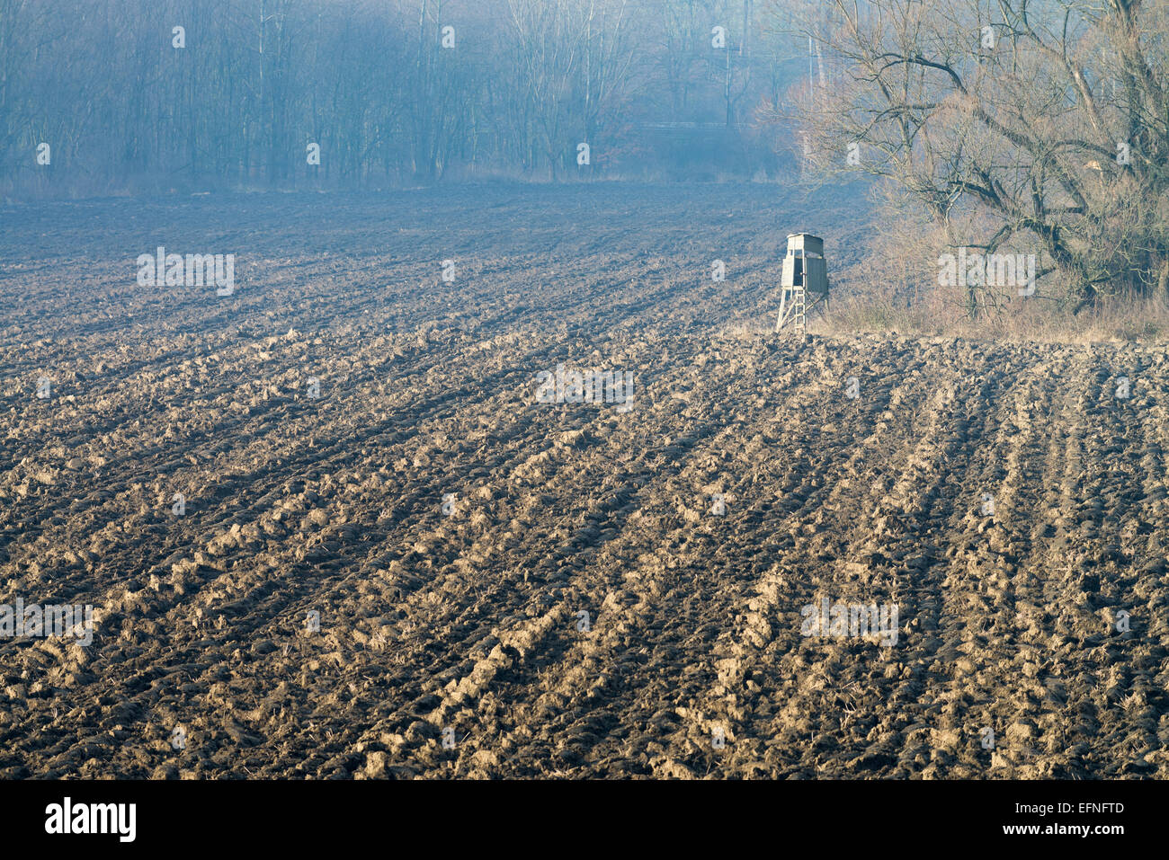 gepflügtes Feld im Herbst, Tschechische Republik, Europa Stockfoto