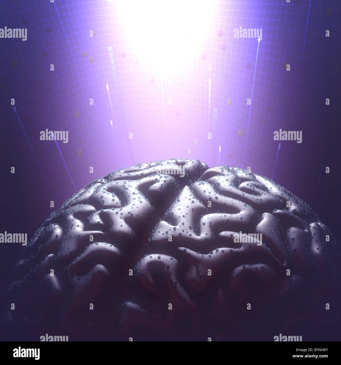 Metall Gehirn mit Regen Tröpfchen in einer dunklen Umgebung. Kopieren Sie Raum und Clipping-Pfad enthalten. Stockfoto