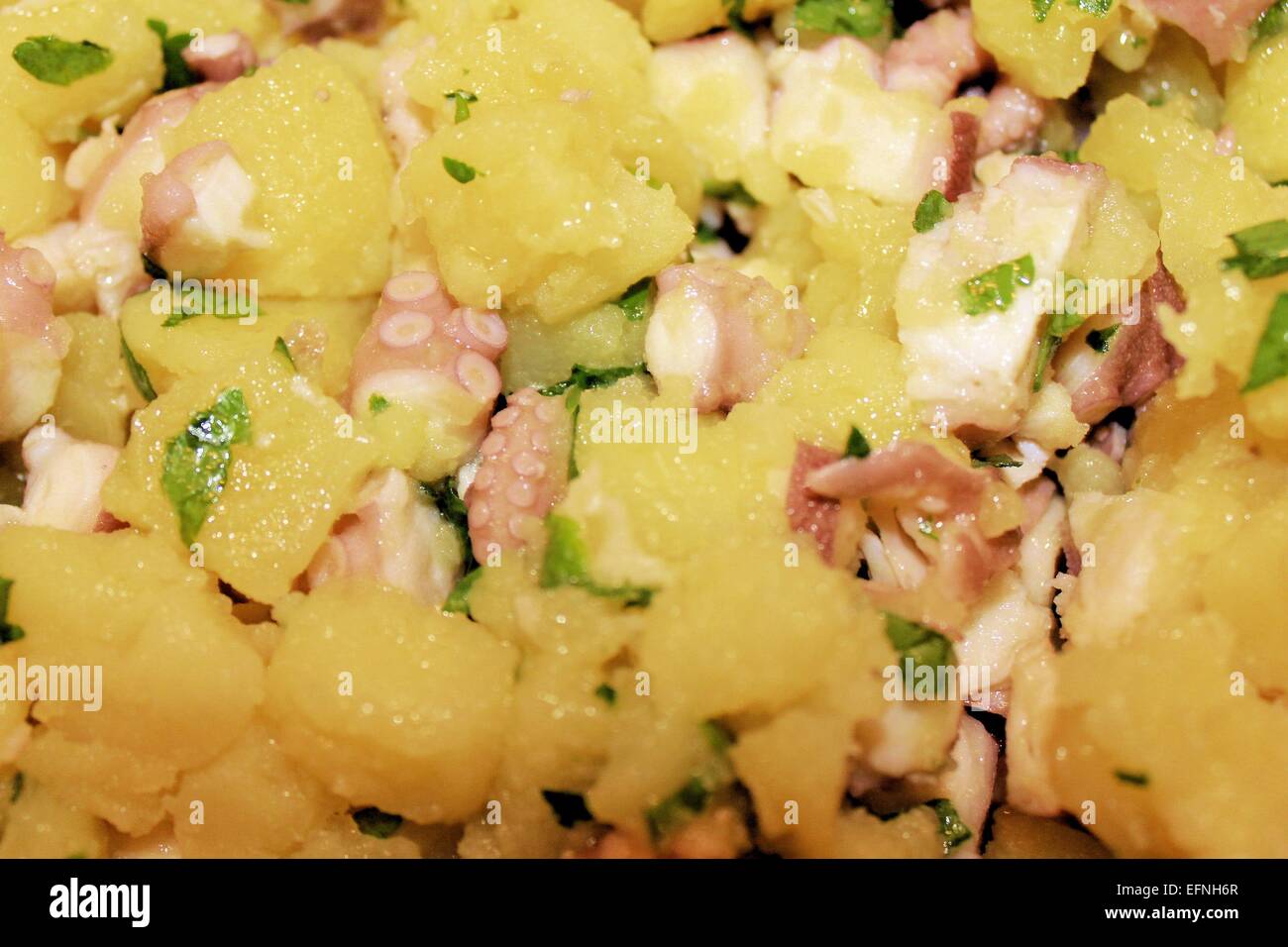 Oktopus teil -Fotos und -Bildmaterial in hoher Auflösung – Alamy Oktopus teil -Fotos und -Bildmaterial in hoher Auflösung – Alamy