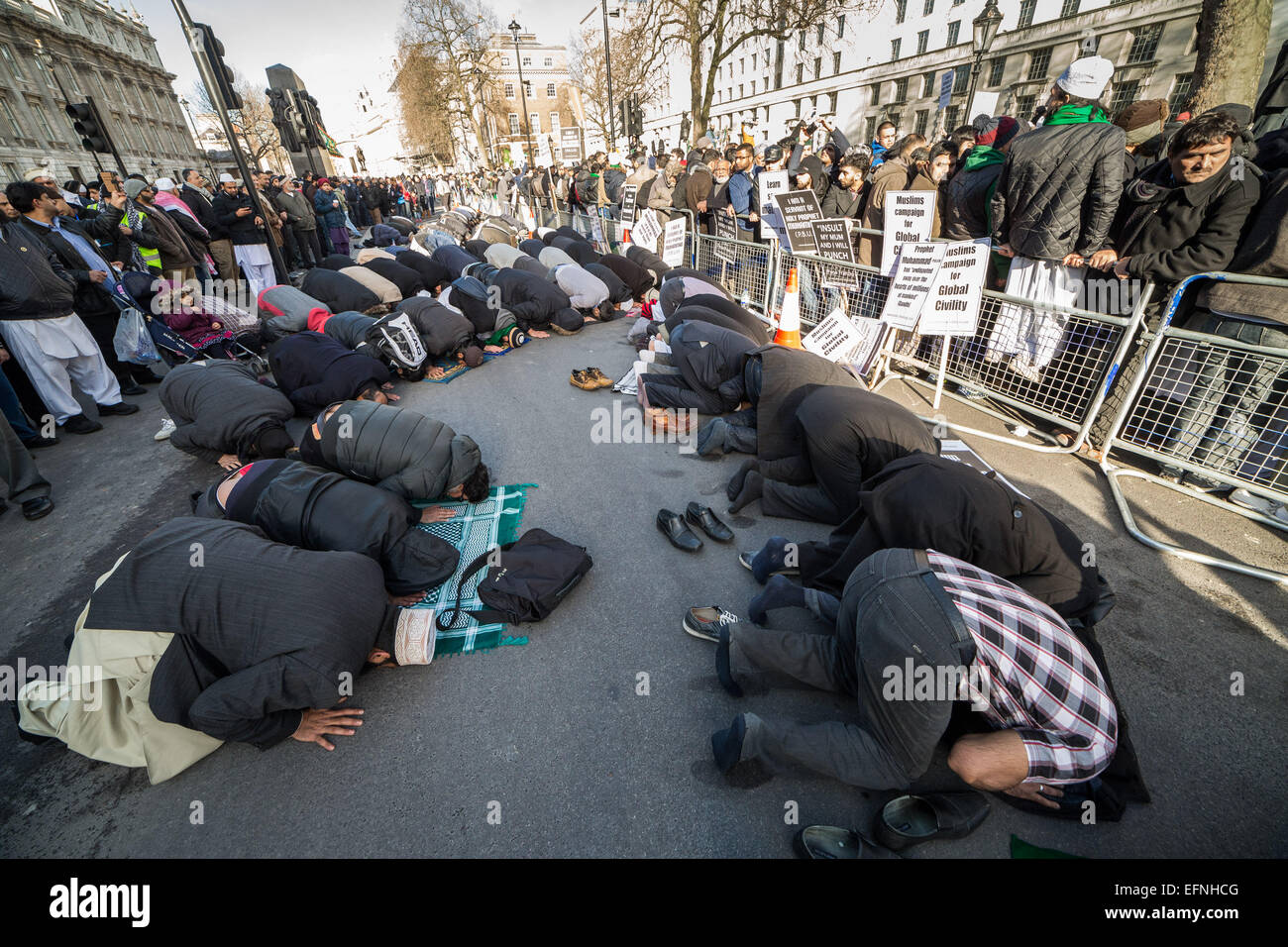 London, Großbritannien. 8. Feb 2015. Die britischen Muslime nehmen 12.00 - Gebete in Whitehall. Credit: Guy Corbishley/Alamy leben Nachrichten Stockfoto