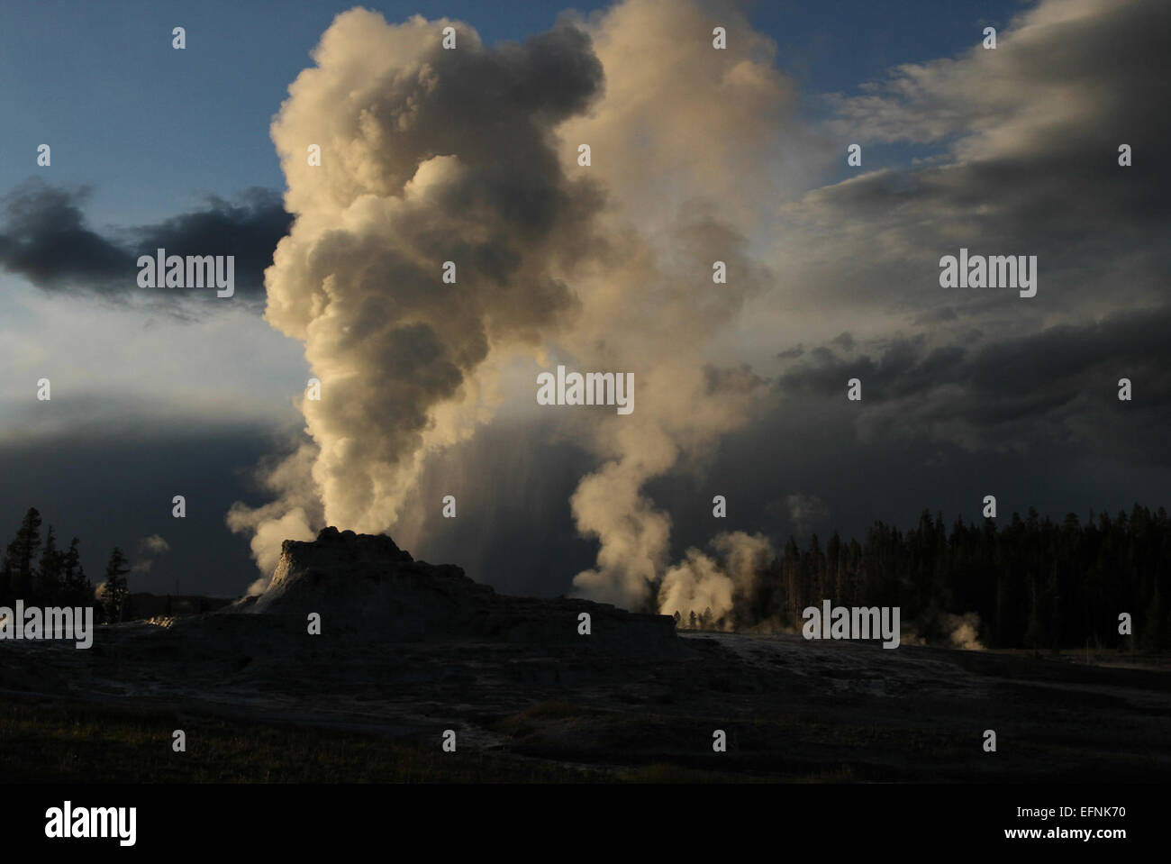 Castle Geyser im Upper Geyser Basin, Yellowstone National Park, fotografiert von Jim Peaco im Juni 2012, zeigt einen der legendären Geysire des Parks. Stockfoto