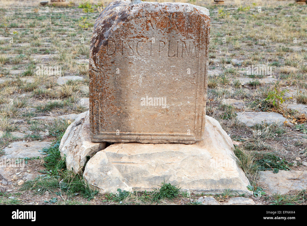 Stein mit Inschrift, Lambesis, Provinz Batna, Algerien Stockfoto