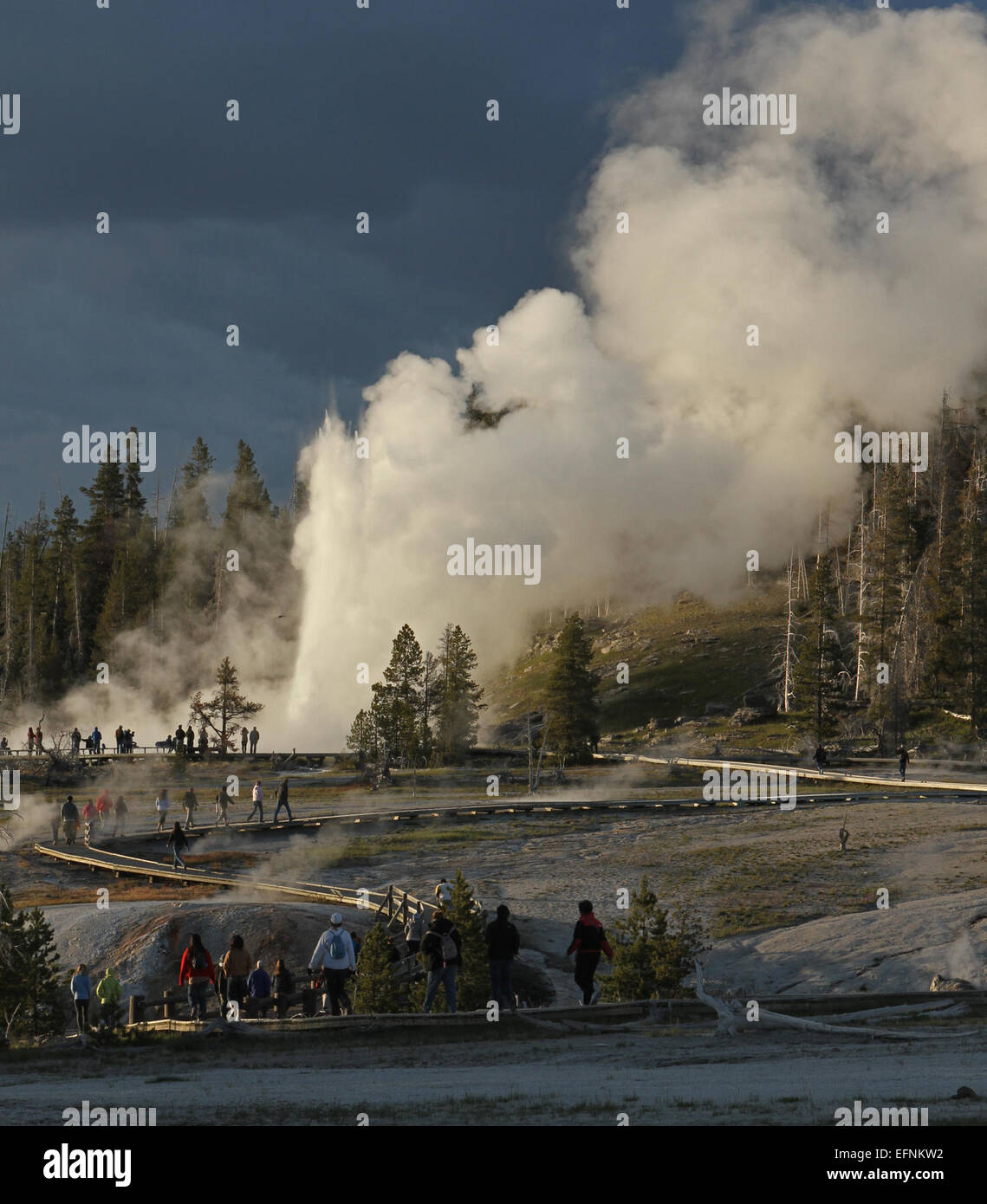 Grand Geyser im Upper Geyser Basin des Yellowstone National Park, im Juni 2012 von Jim Peaco erobert. Das Bild zeigt den Ausbruch des Geysirs mit Besuchern auf der nahegelegenen Promenade. Stockfoto