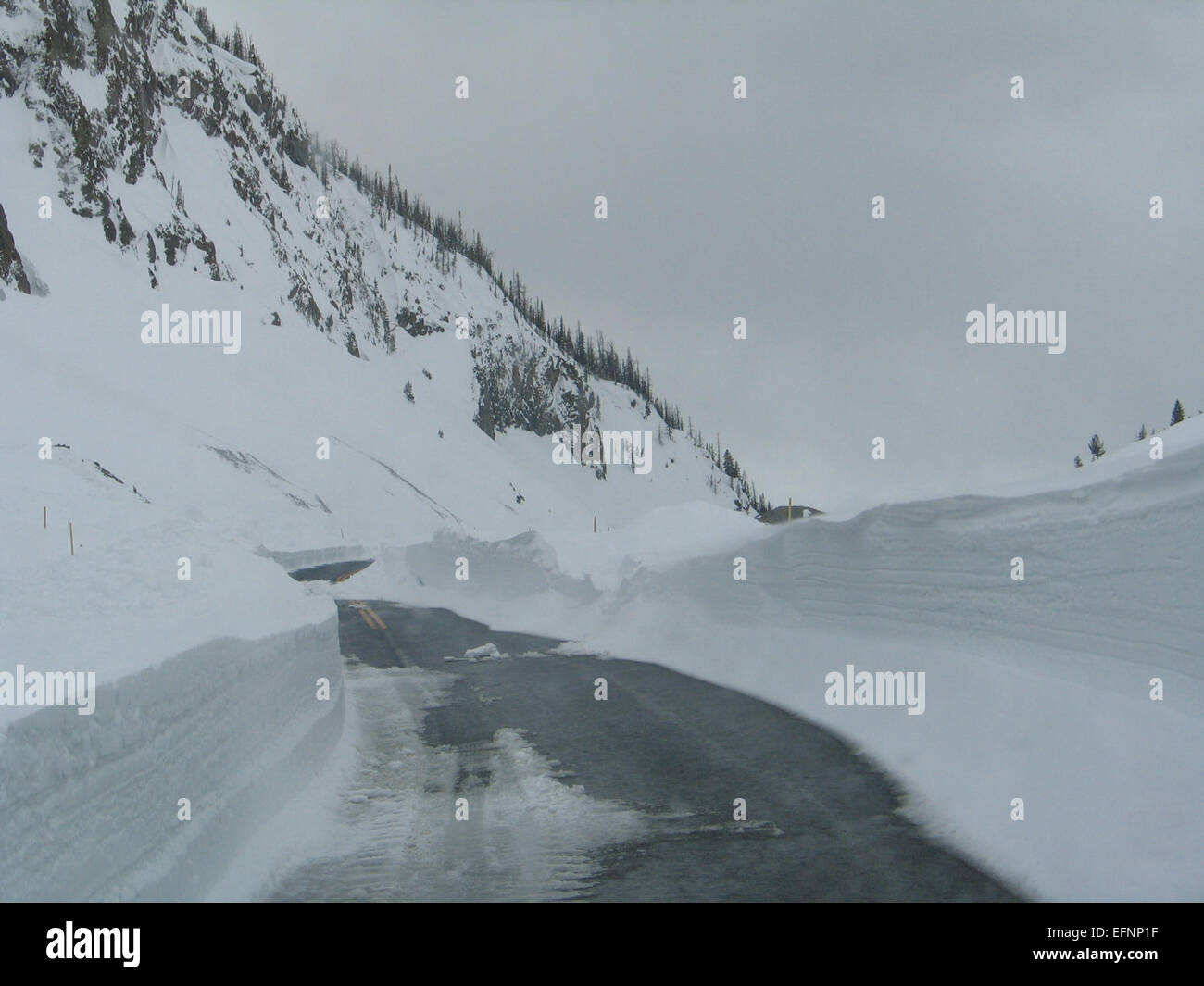 Dieses Foto zeigt Schneewehungen in der Nähe von Sylvan Spring, Yellowstone National Park, während der Frühjahrspflüge. Das Bild zeigt die schneebedeckten Bedingungen des Parks im frühen Frühjahr, wobei der Schnee noch immer über die Landschaft schwebt. Stockfoto