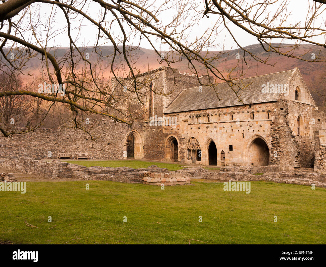 Abendlicht, Valle Crucis Abbey Zisterzienser-Abtei, Llangollen, Denbighshire, Wales, Vereinigtes Königreich Stockfoto