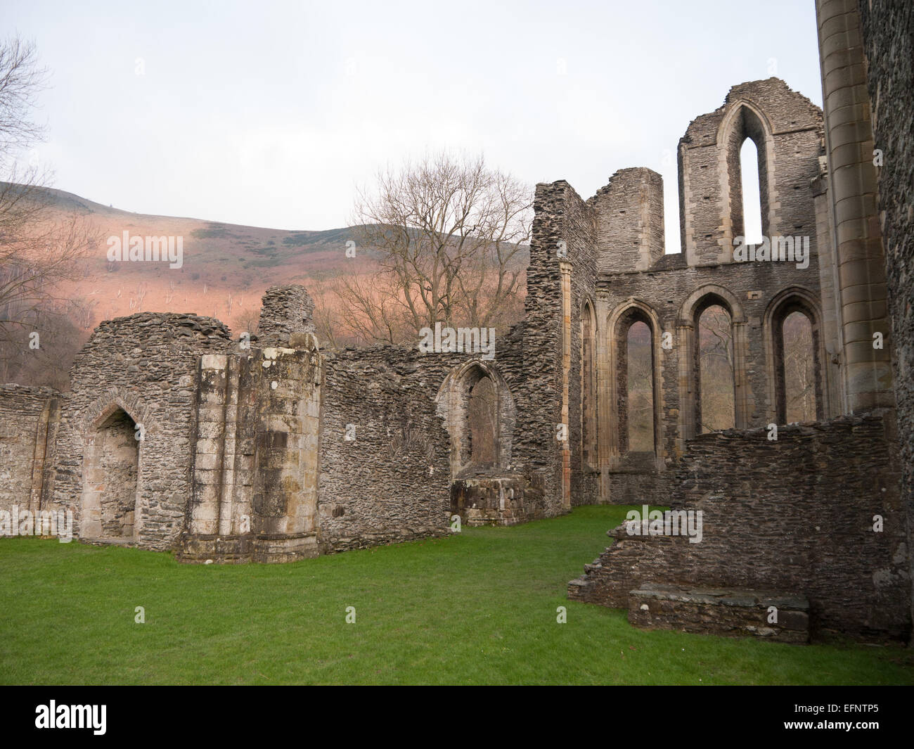 Valle Crucis Abbey, Zisterzienserabtei Stockfoto