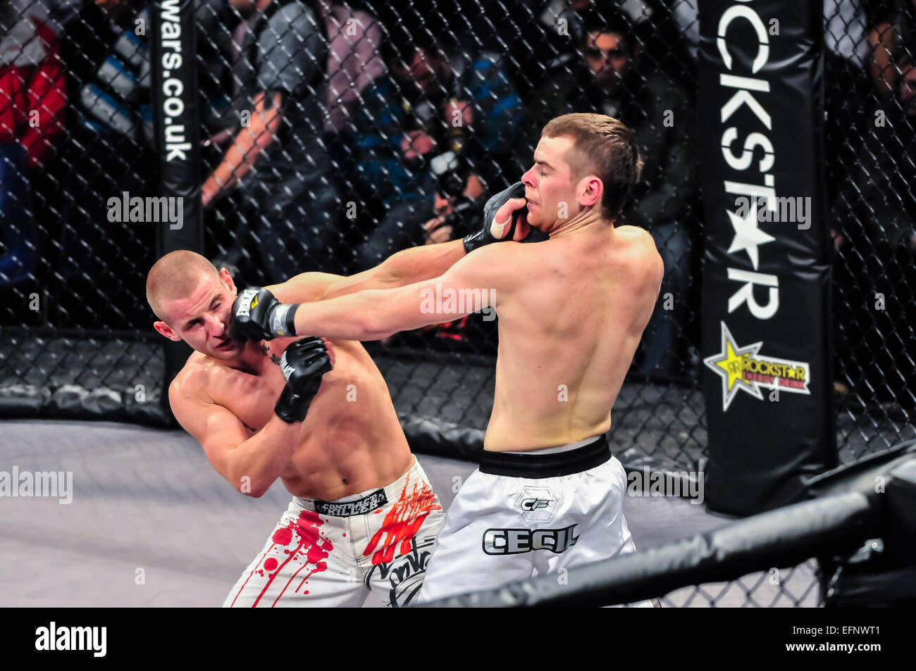 Zwei MMA-Kämpfer landen gleichzeitige Schläge auf jede andere Gesichter. Stockfoto