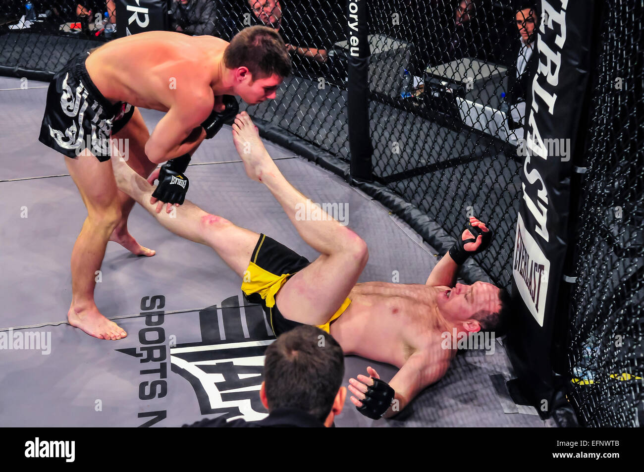 MMA-Kämpfer auf der Leinwand beginnt seinen Gegner treten. Stockfoto