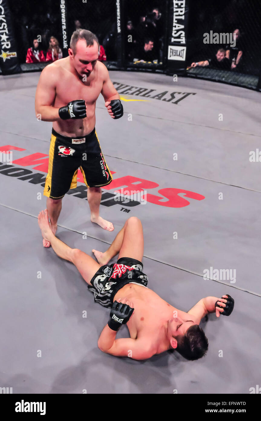 MMA-Kämpfer klopft seine Gegner auf die Leinwand. Stockfoto