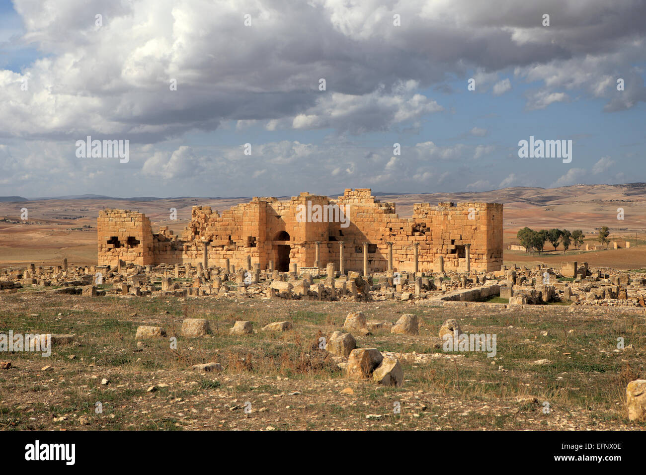 Ruinen der alten Stadt von Madauros, M'Daourouch, Souk Ahras Provinz, Algerien Stockfoto