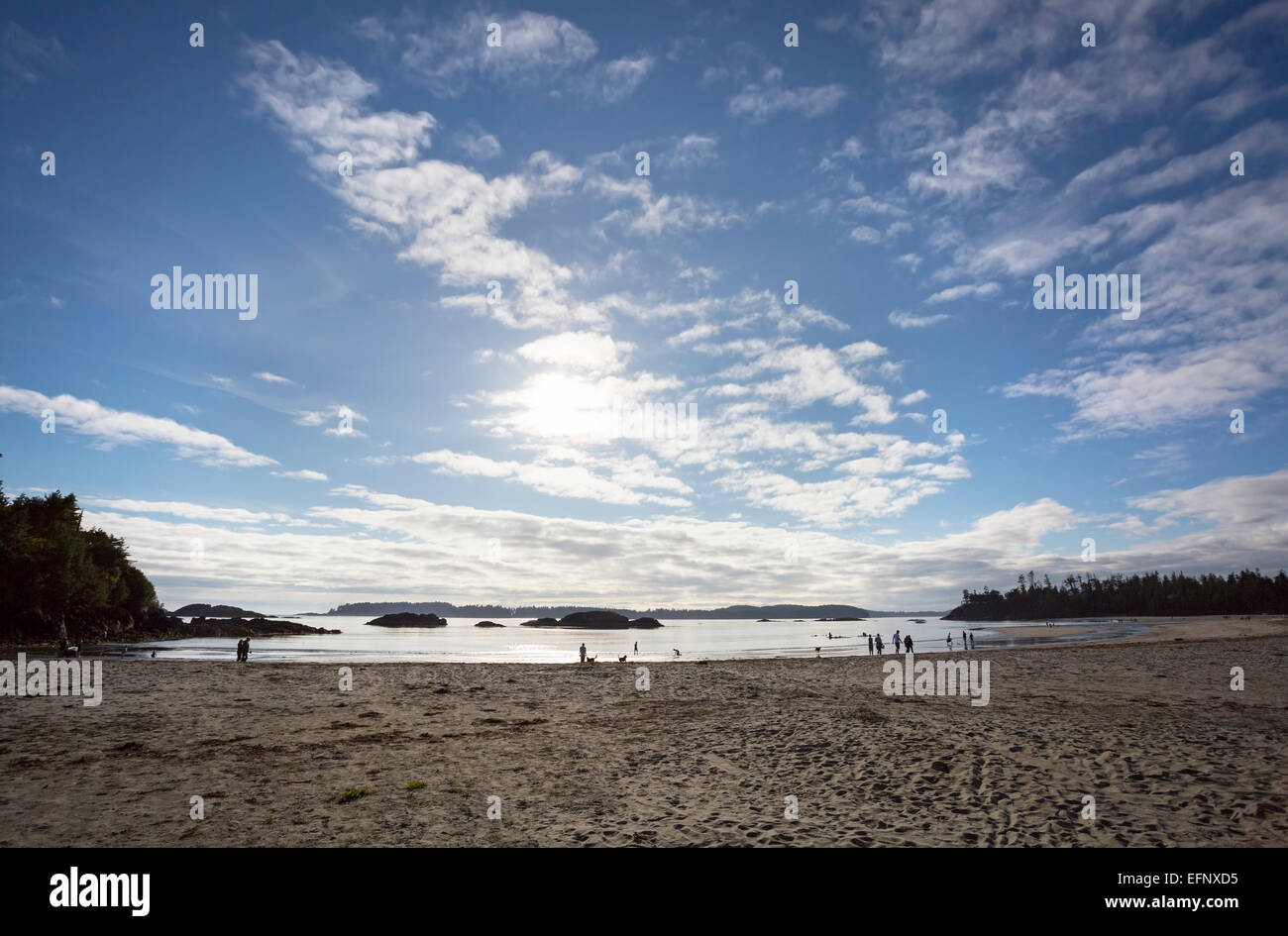 Nordamerika, Kanada, British Columbia, Vancouver Island, Tofino, MacKenzie Beach Stockfoto