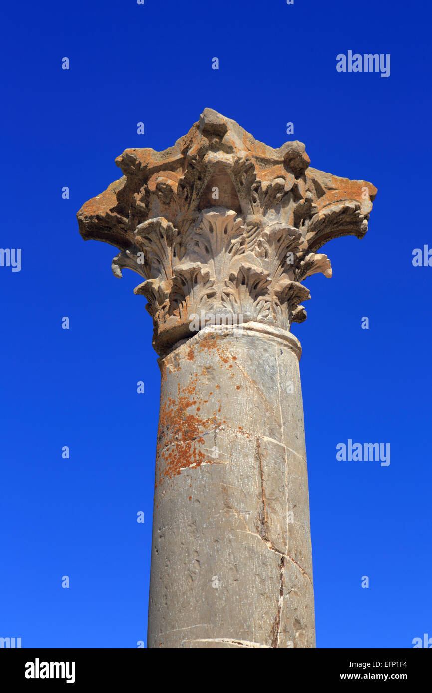 Ruinen der antiken Stadt Cuicul, Djemila, Setif Provinz, Algerien Stockfoto