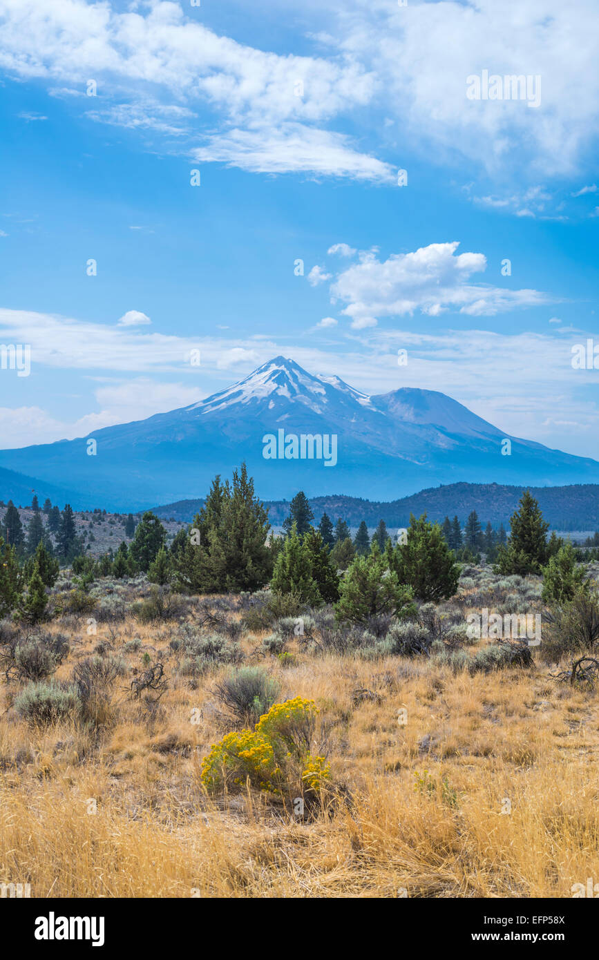 Ansicht des Mount Shasta. Siskiyou County, California, Vereinigte Staaten von Amerika. Stockfoto