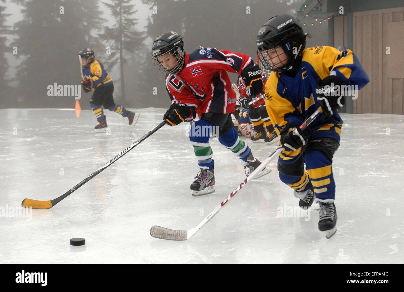 Vancouver. 8. Februar 2015. Spieler von Team Norway (C) konkurrieren mit Team Schweden während der 5. jährlichen Junior Pond Hockey-Turnier am Grouse Mountain in Vancouver, Kanada, Feb.8, 2015. Die Hockey-Dynamos vertreten die Länder, die an die Olympischen Winterspiele in Sotschi konkurrierten. © Sergei Bachlakov/Xinhua/Alamy Live-Nachrichten Stockfoto