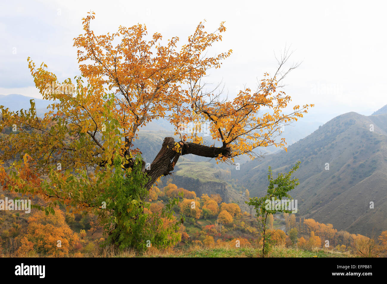 Ansicht des Kaukasus, Garni, Kotayk Provinz, Armenien Stockfoto