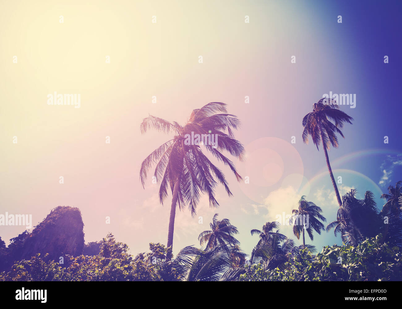 Vintage gefilterte Bild verblasst Palmen mit Flare-Effekt. Stockfoto