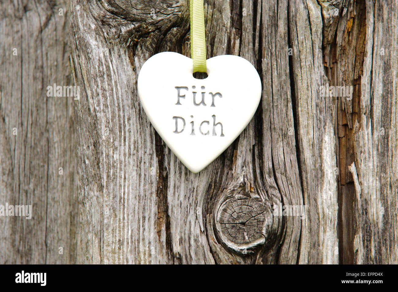 Herz auf Baumrinde mit deutscher Inschrift: für Sie Stockfoto