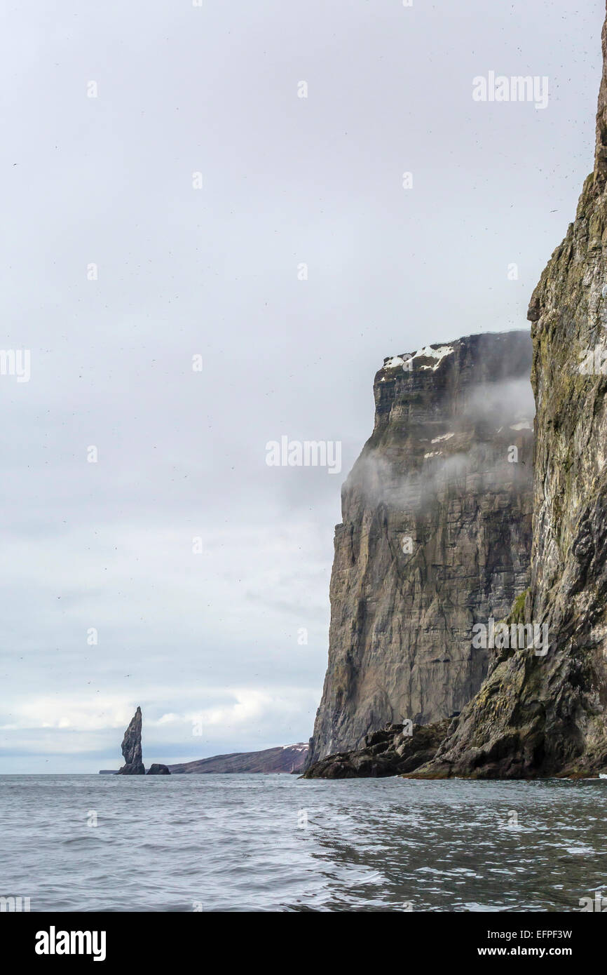 Steile Klippen voller Brutvögel auf der Südseite von Bjornoya (Bäreninsel), Spitzbergen, Norwegen, Skandinavien, Europa Stockfoto