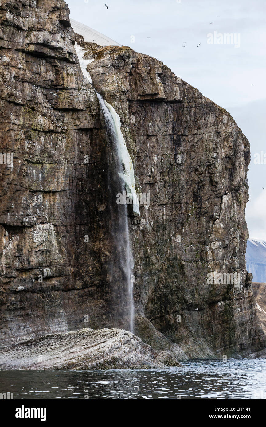 Steile Klippen voller Brutvögel auf der Südseite von Bjornoya (Bäreninsel), Spitzbergen, Norwegen, Skandinavien, Europa Stockfoto