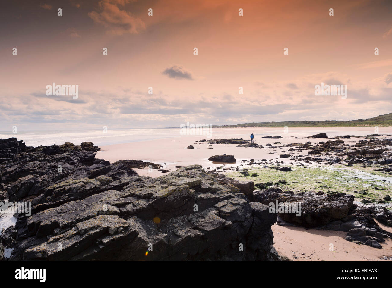 Ellon, Strand, Aberdeenshire, Schottland, Vereinigtes Königreich, Europa Stockfoto