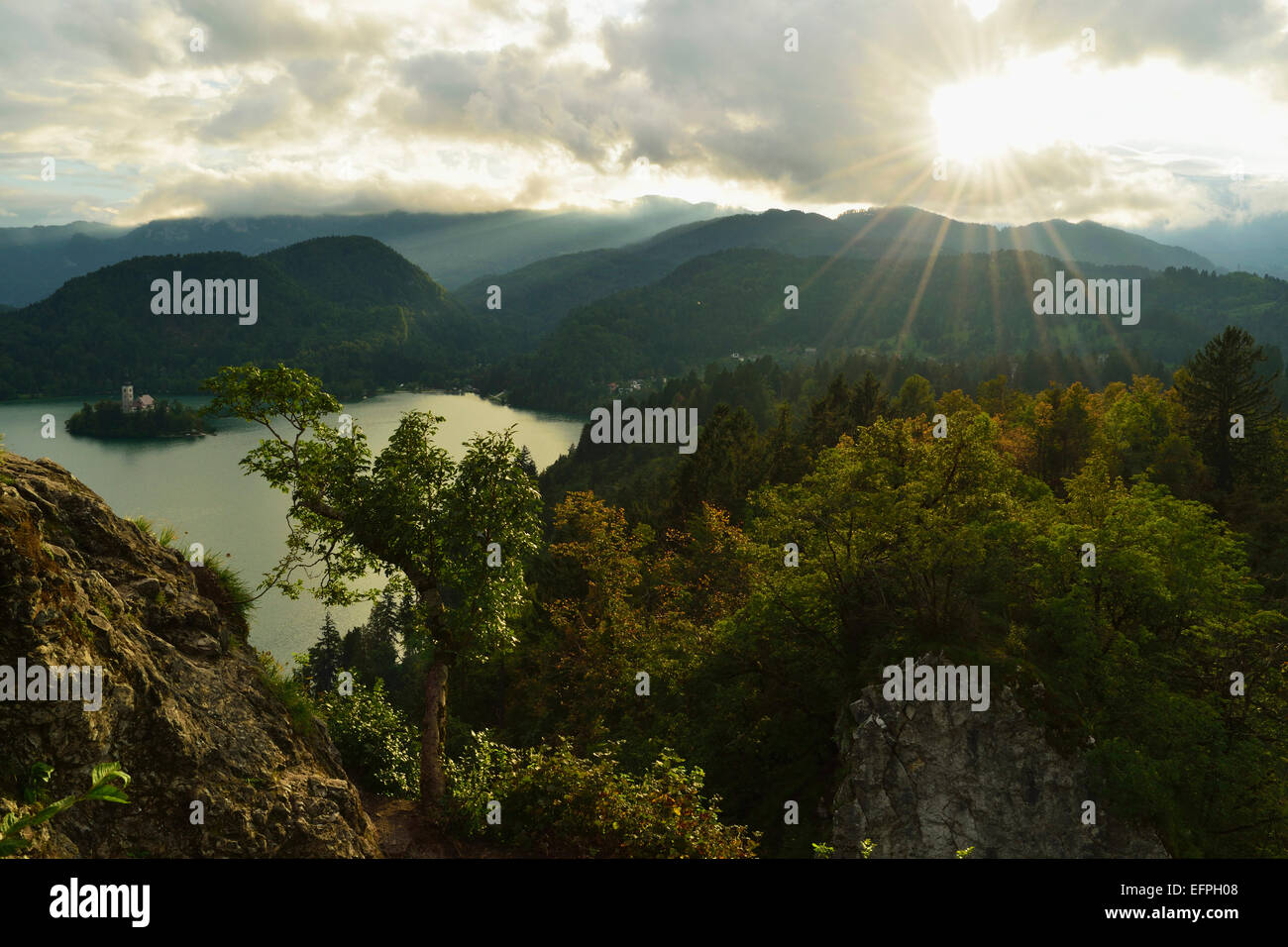 Bleder See (Blejsko Jezero), Bled, Julischen Alpen, Slowenien, Europa Stockfoto