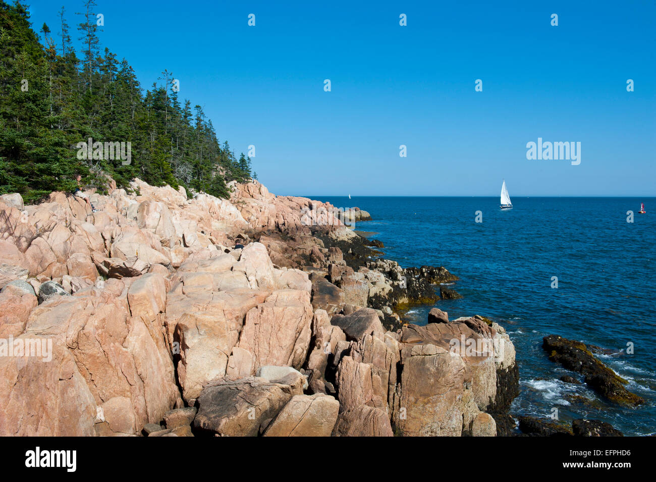 Segelboot bei der felsigen Klippen der Bass Harbor Head Lighthouse, Acadia National Park, Maine, New England, USA Stockfoto