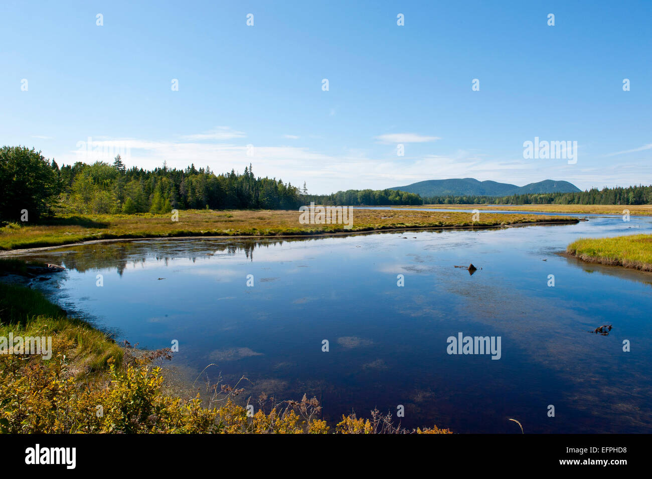 Kleiner Bach in den Acadia National Park, Maine, New England, Vereinigte Staaten von Amerika, Nordamerika Stockfoto