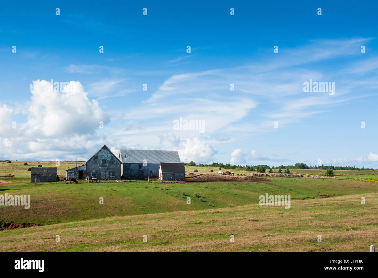 Kleiner Bauernhof in den hügeligen Bereichen von Prince Edward Island, Kanada, Nordamerika Stockfoto