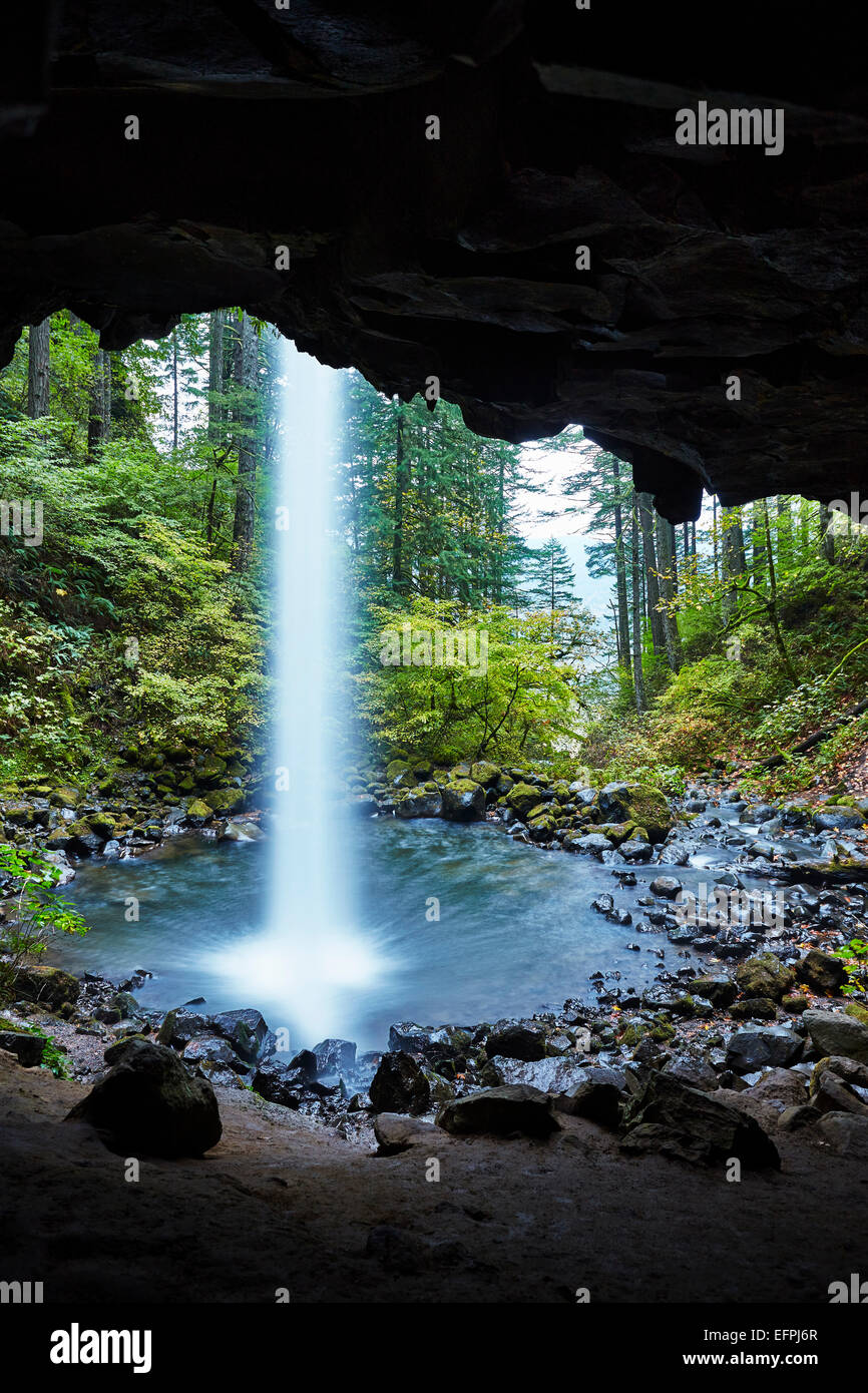 Ansicht der Schachtelhalm Stürze aus einer Höhle, Oregon, USA Stockfoto