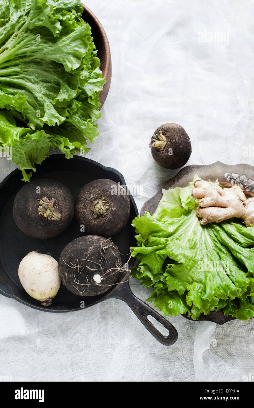 Stilleben mit Ingwer, Salat und schwarze Rübe Stockfoto