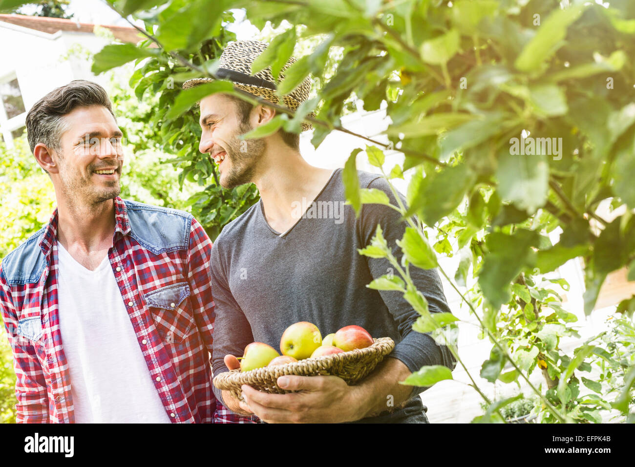 Zwei Männer im Garten, eine Holding Schale mit Äpfeln Stockfoto
