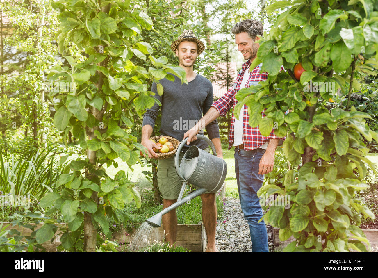 Zwei Männer im Garten, eine Bewässerung von Pflanzen Stockfoto