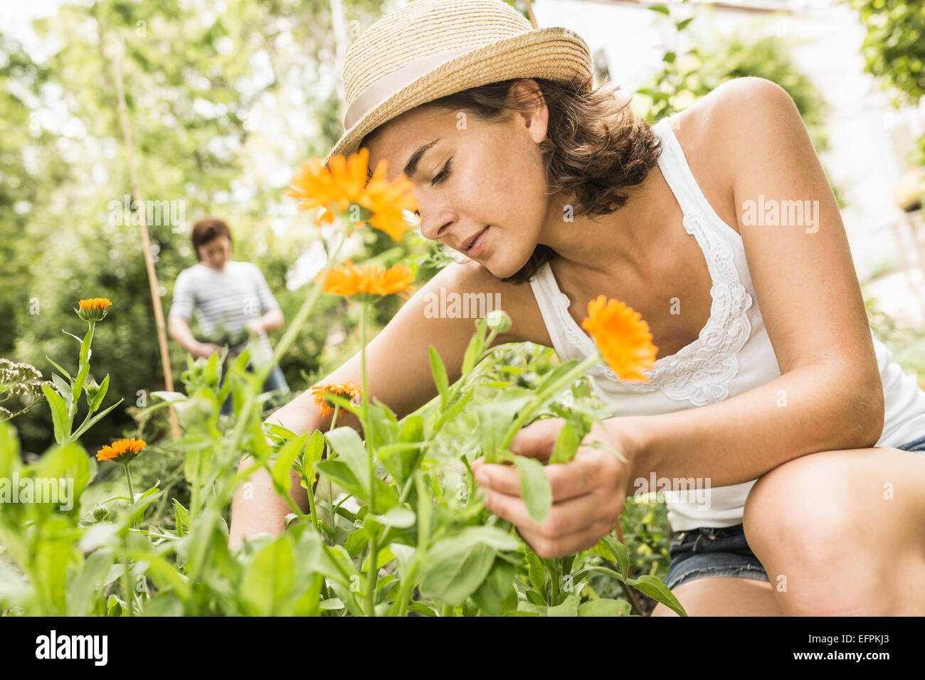 Mitte Erwachsene Frau tendenziell Blumen im Garten Stockfoto