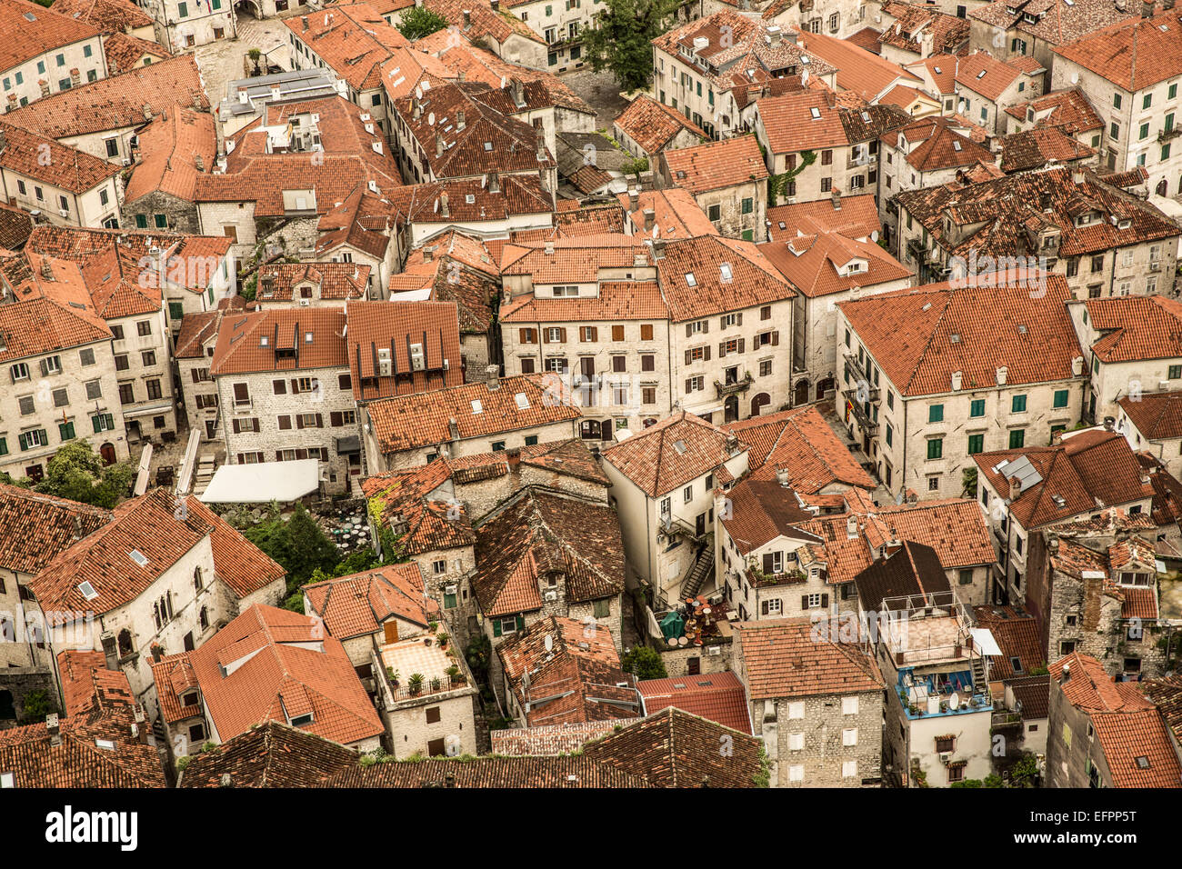 Ansicht der Stadthäusern und roten Dächern, Kotor, Montenegro Stockfoto