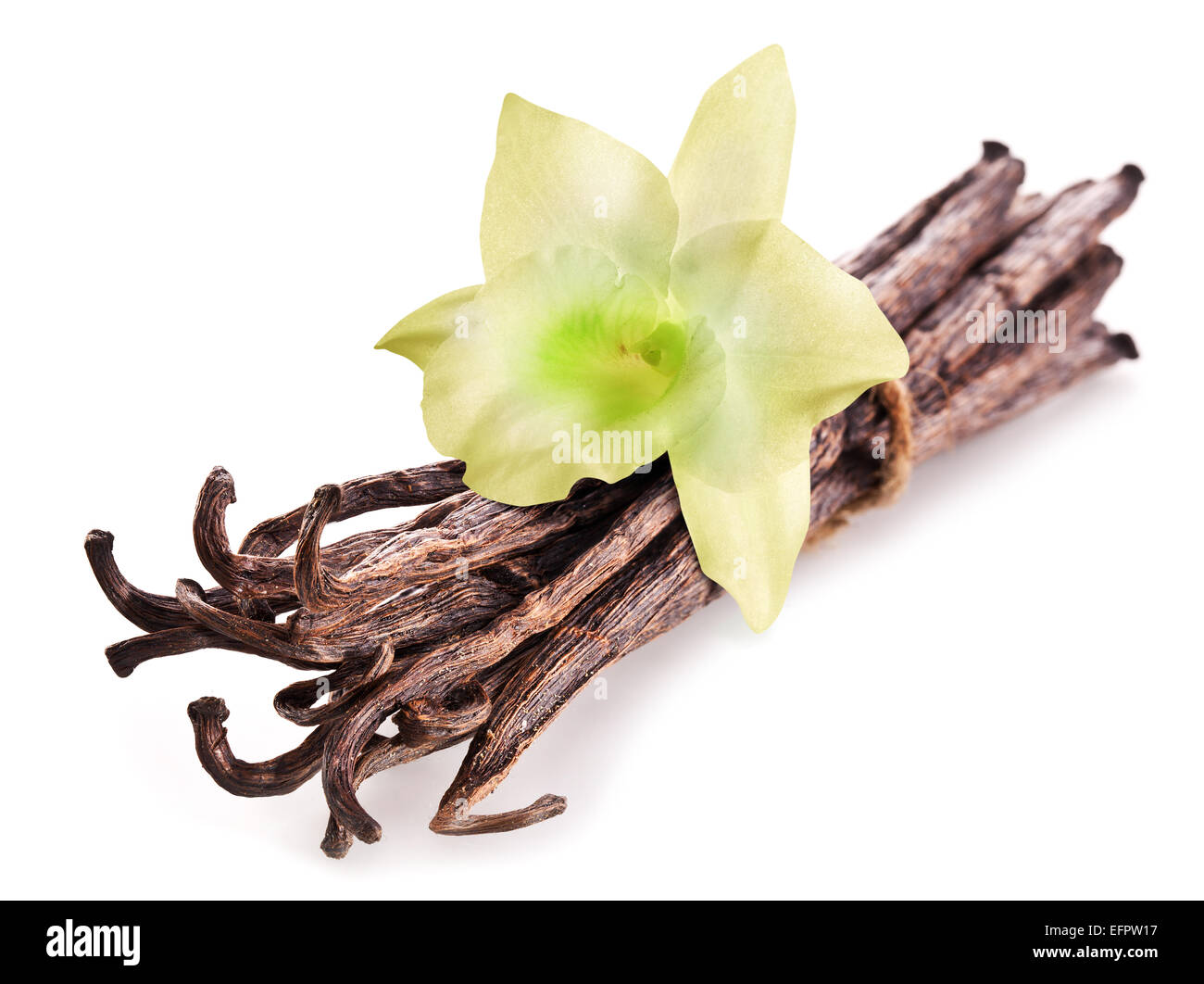 Jede Menge Vanille Stangen und Orchidee Blume auf weißem Hintergrund. Stockfoto