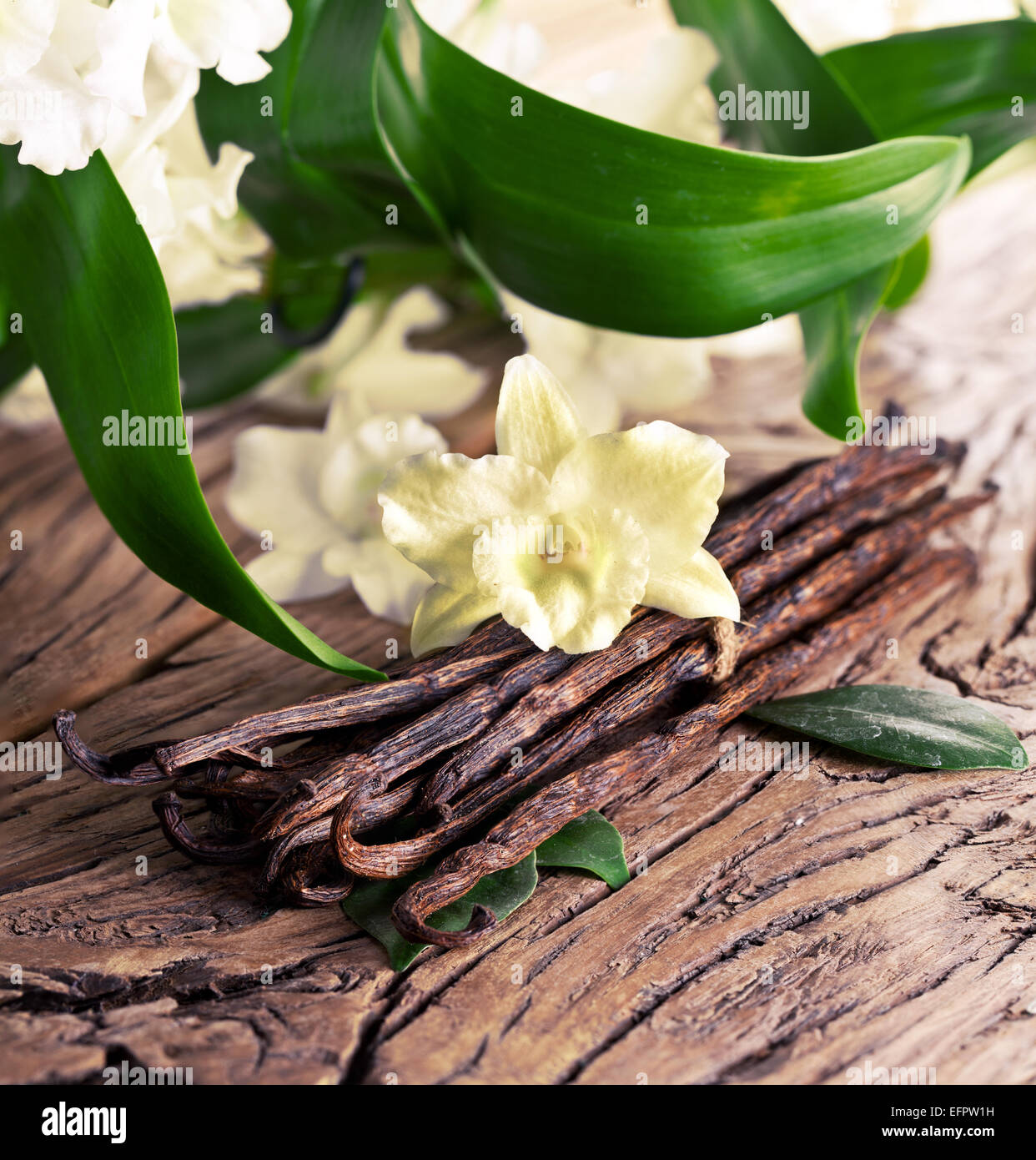 Jede Menge Vanille Stangen und Blume auf altem Holz. Stockfoto