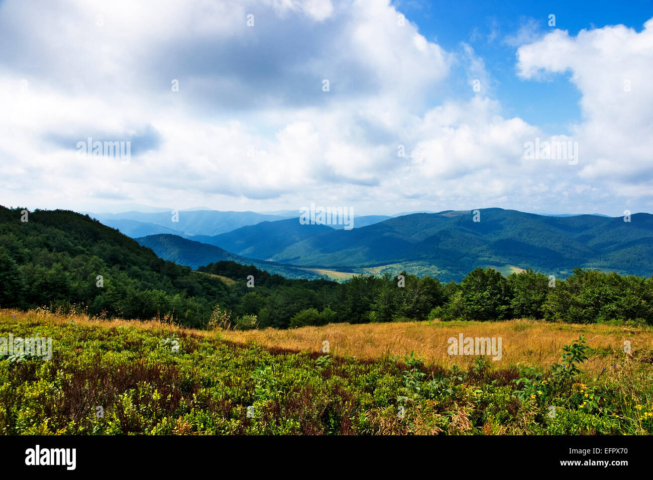Polnischen grünen Bergen Karpaten Stockfoto