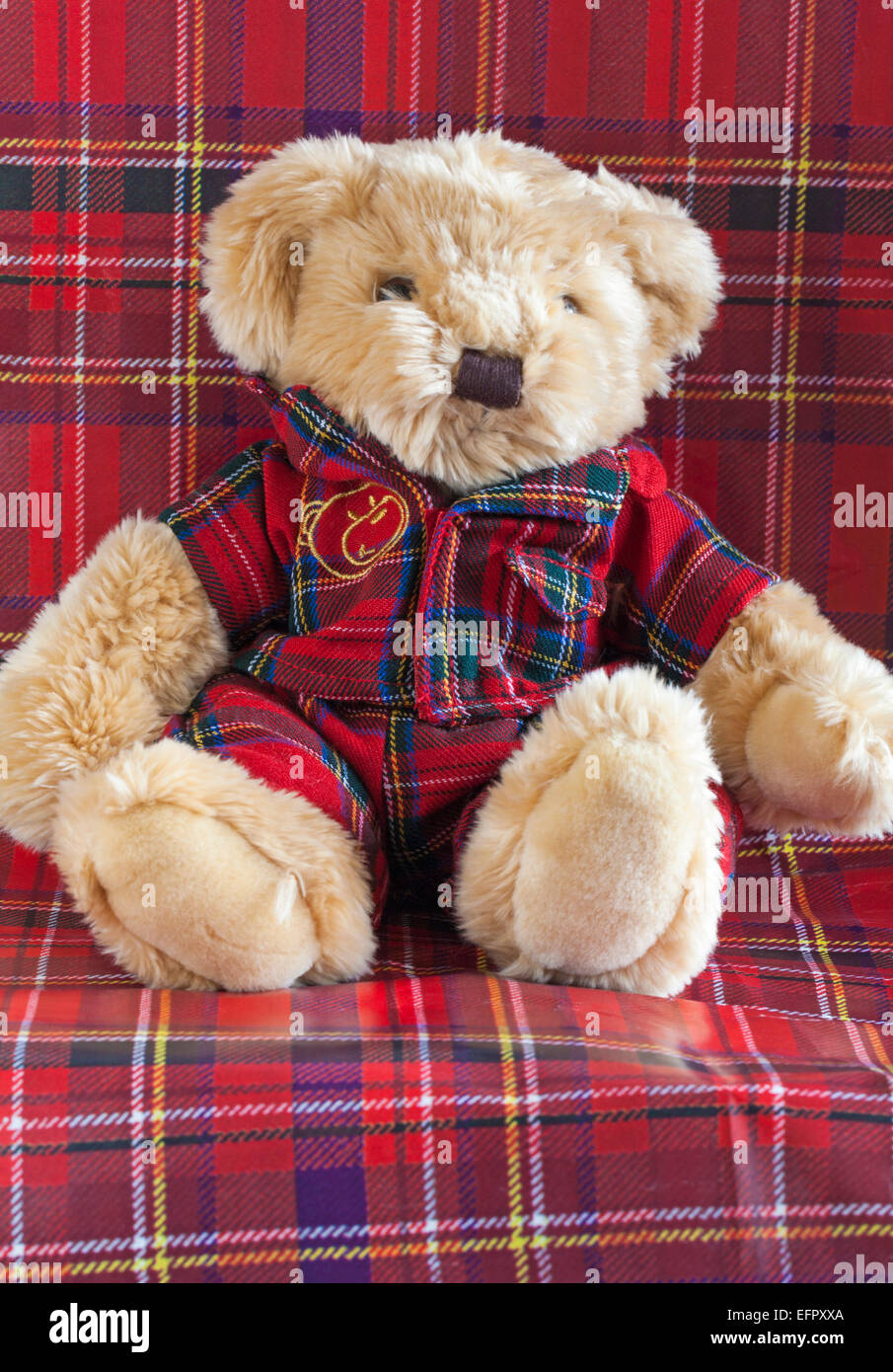 Süß Kuschelig Neu Schottische Lüfter Geschenk Schottland Flagge Teddybär 