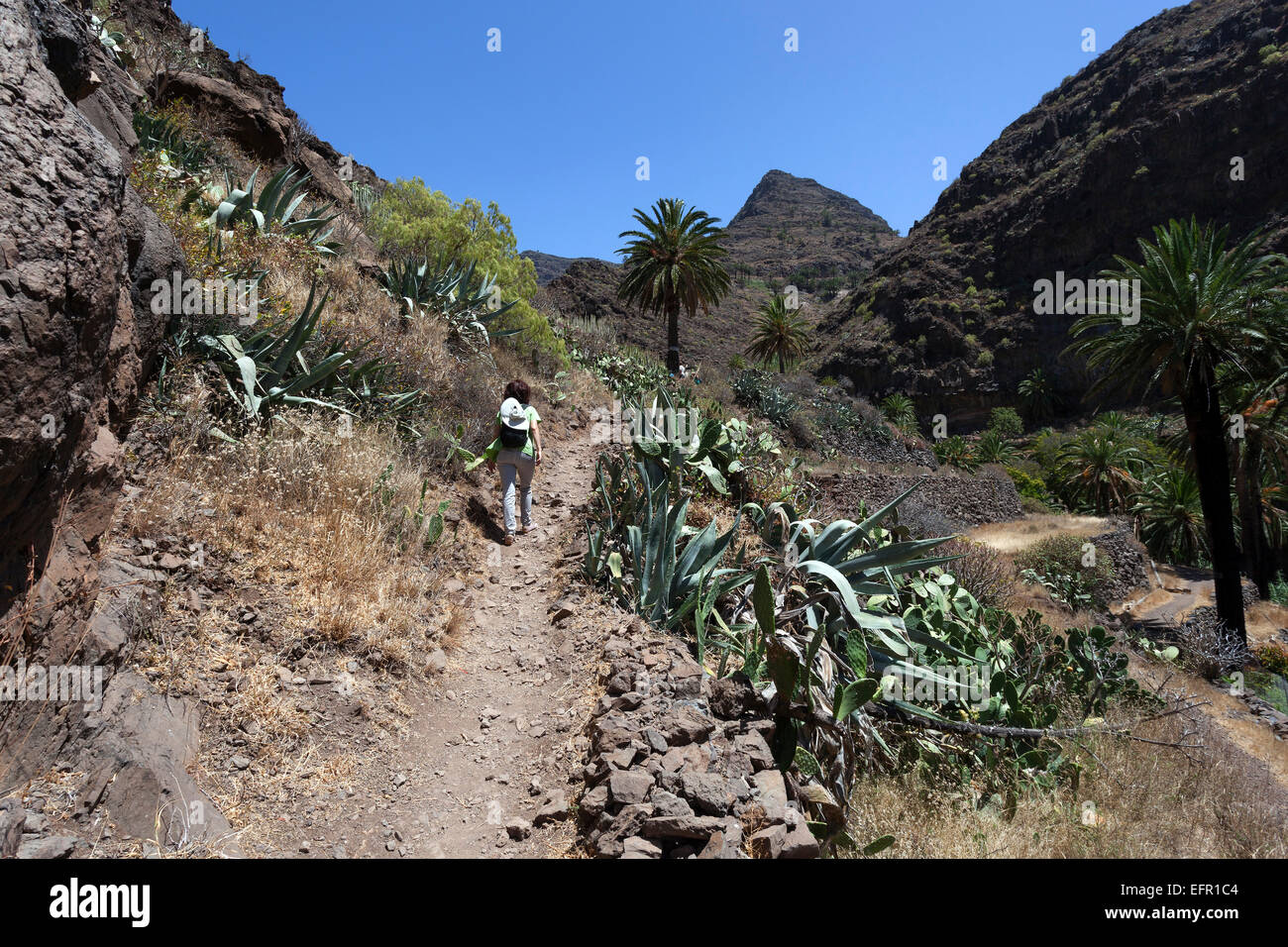 Wanderweg im Barranco de Arure, Valle Gran Rey, La Gomera, Kanarische Inseln, Spanien Stockfoto