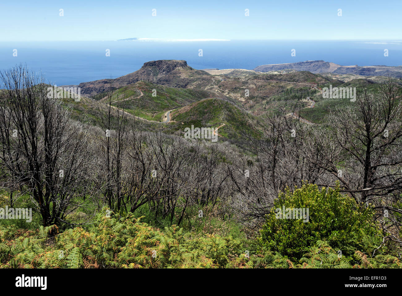 Blick vom Gipfel des Garajonay auf verkohlte Sträucher, Spuren des Waldbrandes vom 2012 hinter den Fortalezza Stockfoto