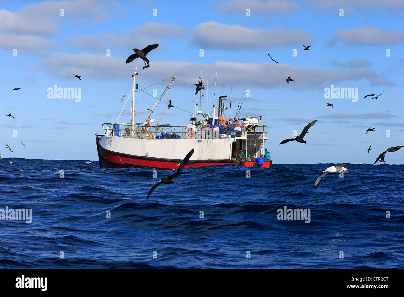 Trawler, Seevögel, Kap der guten Hoffnung, Südafrika Stockfoto